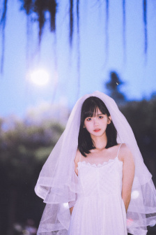 蘑菇网